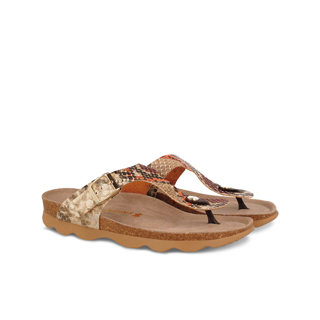 G102494-DOBLE
